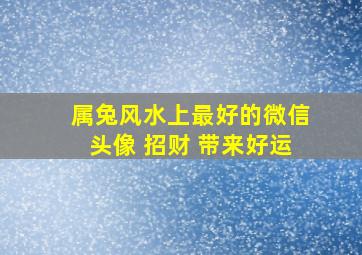 属兔风水上最好的微信头像 招财 带来好运